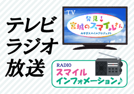 テレビ・ラジオ放送
（ミニ番組、ＣＭ等）